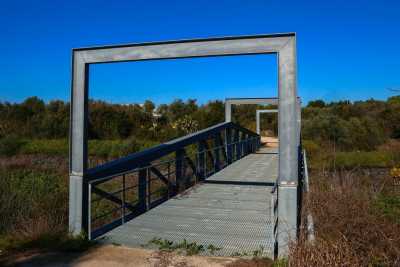 Trentatr� ettari di verde nella Zona Industriale di Bari: � il (sinora) poco sfruttato Parco Asi